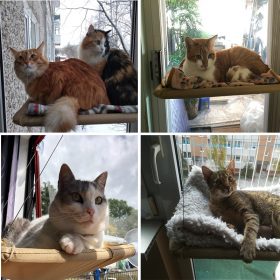 Cute-Pet-Hanging-Beds-Bearing-20kg-Cat-Sunny-Window-Seat-Mount-Pet-Cat-Hammock-Comfortable-Cat.jpg